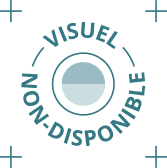Noemis solutions en vidéo surveillance IP